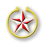 assembly and distribution of power generators, leasing, distribution of fire-fighting equipment, logistics, boat building and fabrication of industrial and agricultural equipment